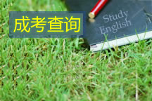 广东省成人高考成绩免费查询系统